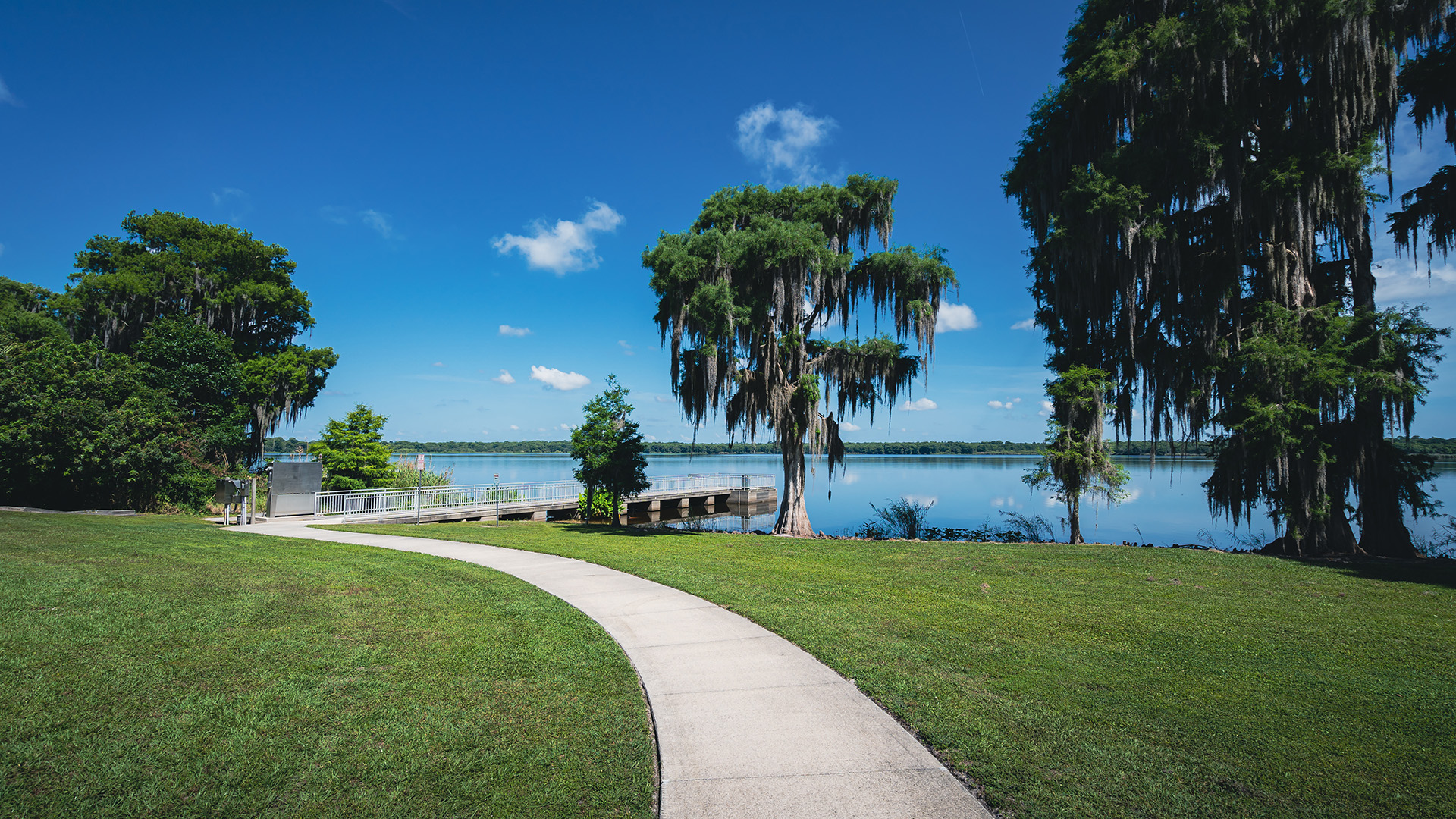 Braces in Orlando Florida