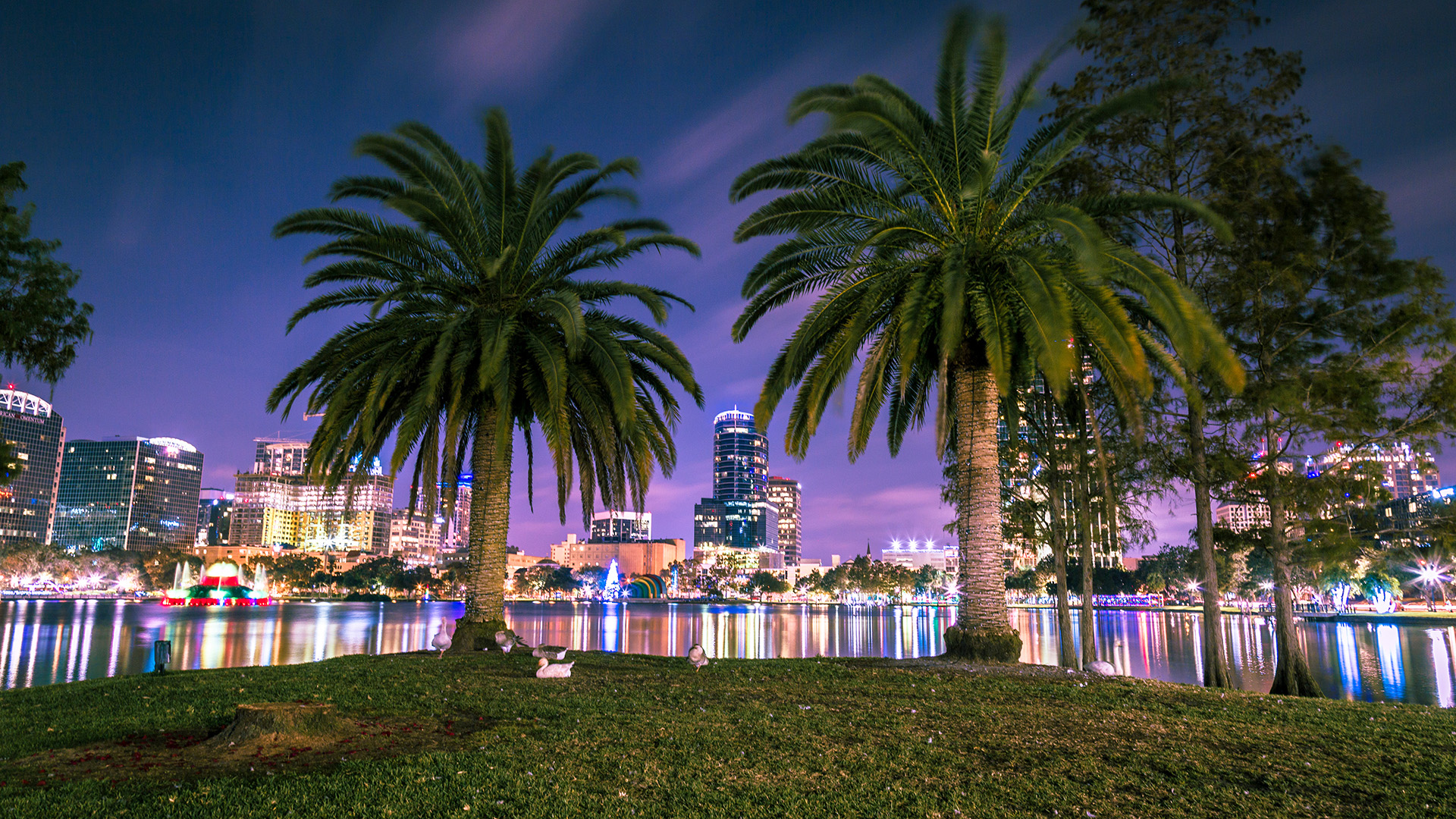 Orthodontic Retainers in Orlando