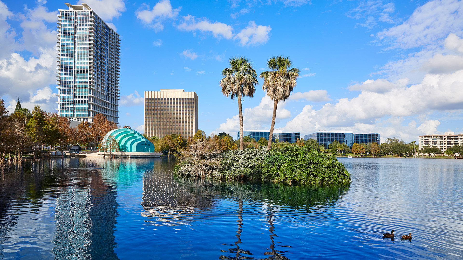 DentalMonitoring in Orlando FL